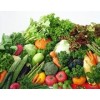 采購高性價綠色蔬菜就找神喻王，供應(yīng)綠色蔬菜