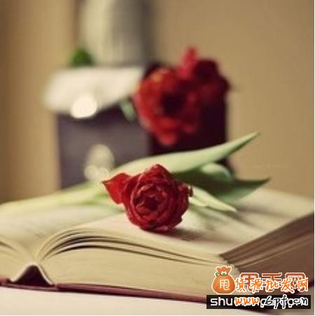 杜絕虛假宣傳中小賣家如何約束自己的行為？2