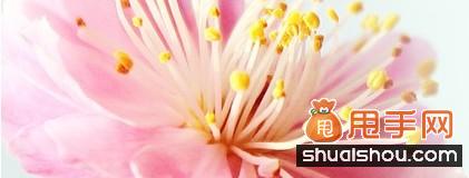 母親節(jié)來臨,解析直通車鉆展?fàn)I銷熱點(diǎn)