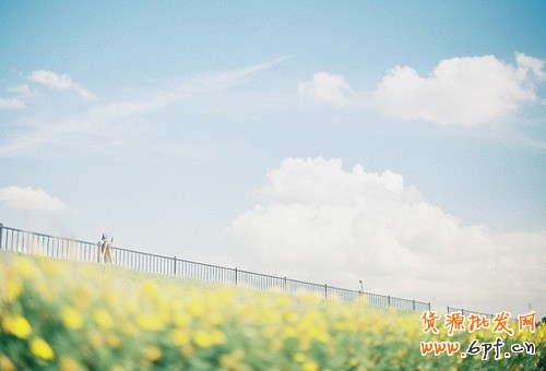 0基礎(chǔ)教學(xué)-最全面的標(biāo)題優(yōu)化技巧1