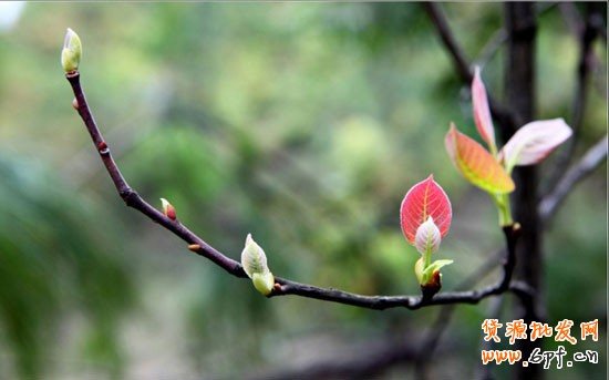 淘寶開(kāi)店 巧引10倍的流量 淘寶開(kāi)店 巧引10倍的流量