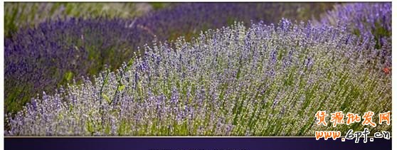 17.【亮鉆計劃】拒絕理由解析——涉及線下數(shù)據(jù)的解決方案