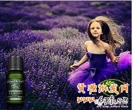 鉆展點(diǎn)擊率爆表的秘密- 鉆展文案 6