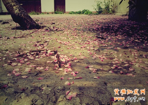 店鋪運(yùn)營(yíng)