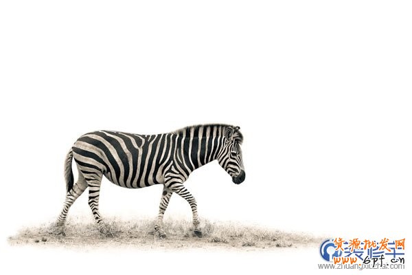 電商海報，設計淘寶女包主題海報