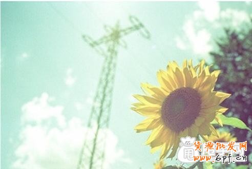 淘搶購(gòu)只是大賣(mài)家的“專(zhuān)屬活動(dòng)”？