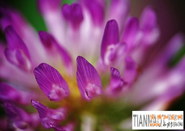 網(wǎng)店裝修之景深拍攝經(jīng)驗教程