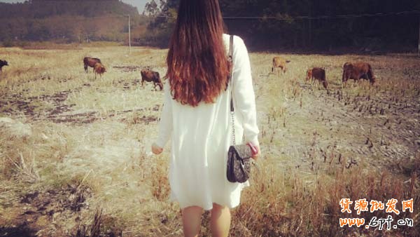 寶貝上下架與櫥窗推薦的“神奇運(yùn)用”2