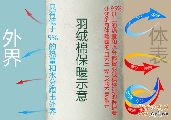 網(wǎng)店如何拍出爆款所具備的照片