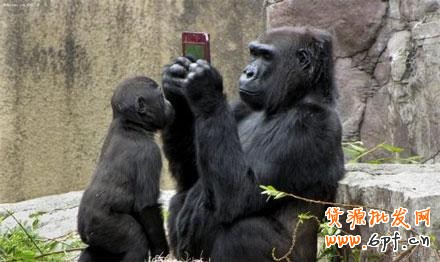 微信營(yíng)銷(xiāo)