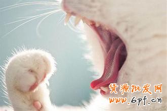 淘寶開店不刷單怎么有高轉(zhuǎn)化？