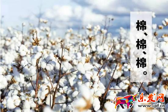 淘寶經(jīng)驗(yàn)