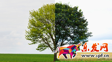 04.14我是大人物922.png 04.14我是大人物922.png