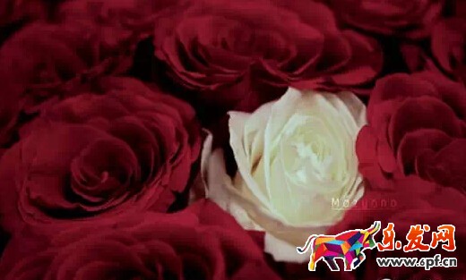 如何經(jīng)營微商