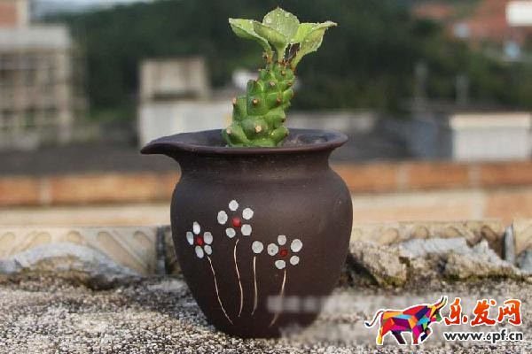 如何作一個(gè)圖文并茂，引人入勝的詳情頁?