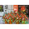 廈門花籃必選綠意海園林工程有限公司，廈門開業(yè)花籃送貨上門13779959203專業(yè)制做