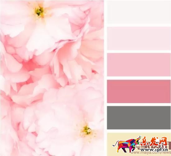 學(xué)會(huì)這些，讓你的店鋪輕松日銷80單