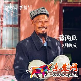 深度剖析直通車(chē)質(zhì)量得分