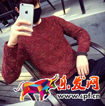 新手直通車入門寶典