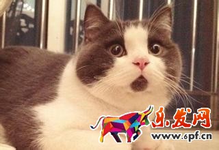 大促后流量維護(hù)