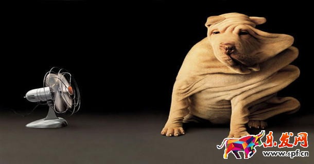 如何開好淘寶網(wǎng)店？運(yùn)營秘籍