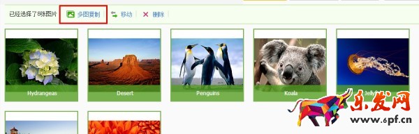 淘寶圖片空間使用教程 淘寶圖片空間使用教程