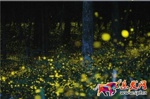 手機(jī)上怎么裝修淘寶店