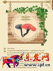 淘寶店鋪怎么做詳情頁(yè)