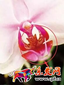 淘寶店鋪裝修教程