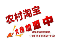 農(nóng)村淘寶加盟要多少錢?要怎樣加入？