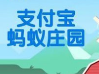 螞蟻莊園怎么防止搶食？支付寶螞蟻莊園怎么養(yǎng)小雞？