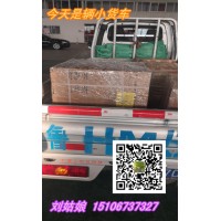 康明斯QKS60充電機(jī)驅(qū)動(dòng)油封（QSK60T型卡箍）價(jià)格好