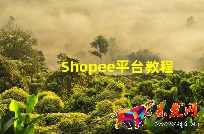 Shopee平臺(tái)教程:Shopee怎么開(kāi)店?Shopee如何開(kāi)店鋪呢?
