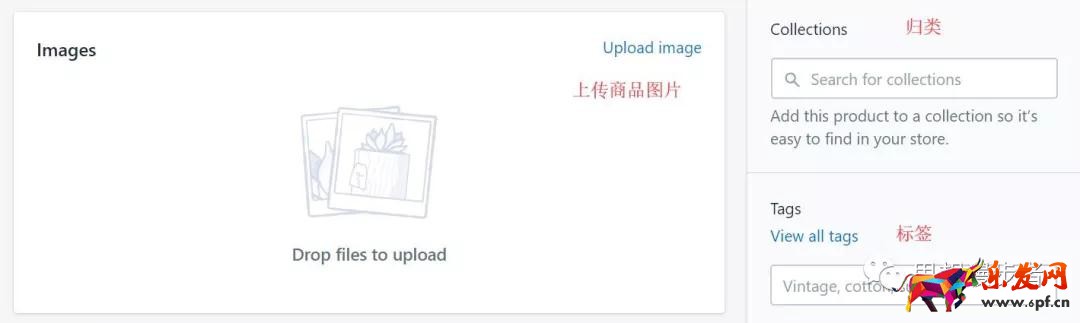 【圖文超詳攻略】Shopify新手開(kāi)店教程