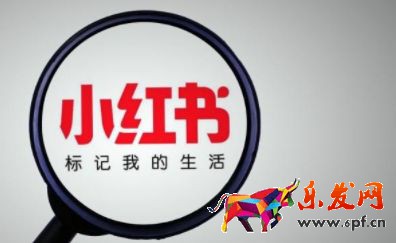 2023小紅書店鋪入駐條件及收費(fèi)標(biāo)準(zhǔn)分享 2023小紅書店鋪入駐條件及收費(fèi)標(biāo)準(zhǔn)分享