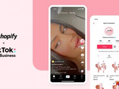 shopify獨(dú)立站需要多少錢